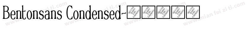 Bentonsans Condensed字体转换